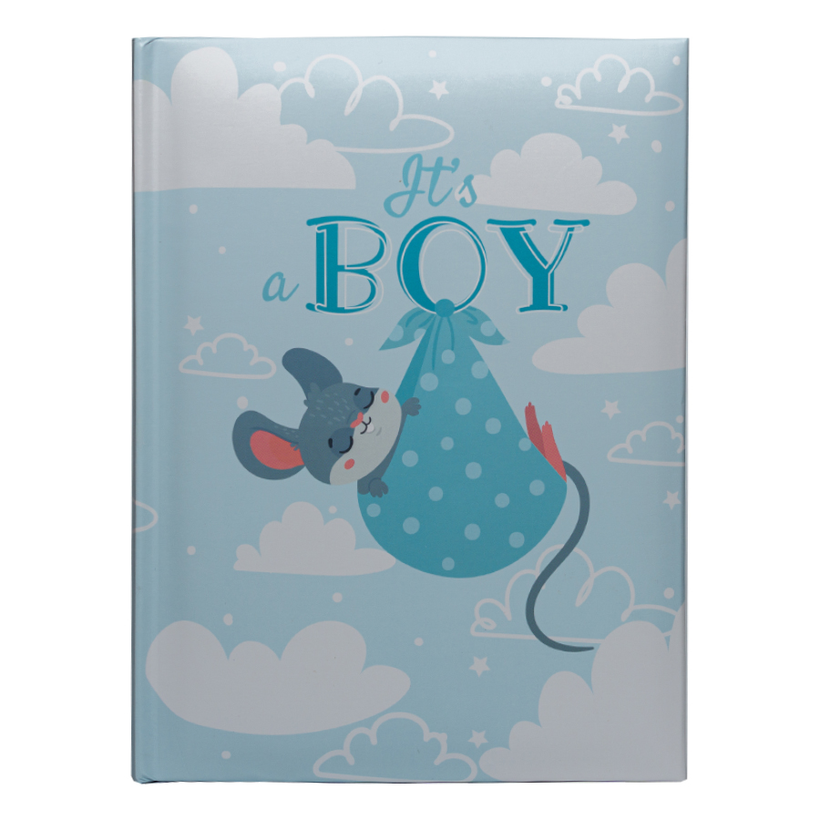Албум мишле Its a Boy син