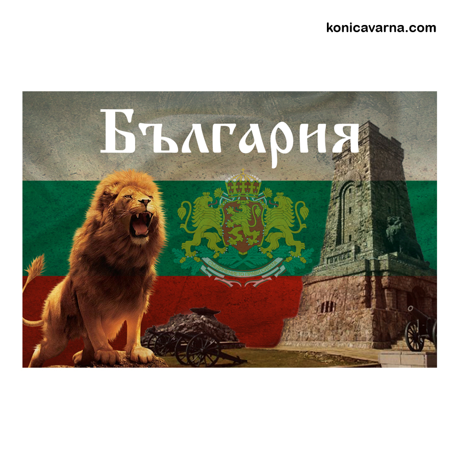 Магнит  България 
