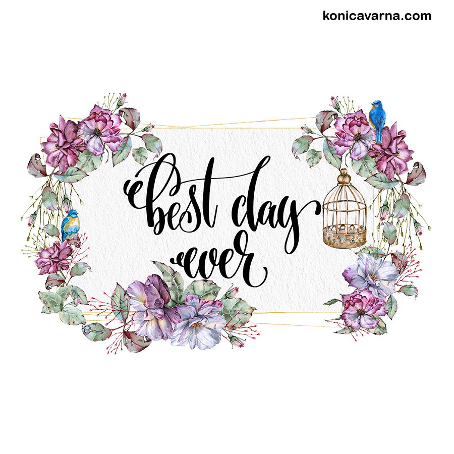 Тениска готов дизайн Best day ever